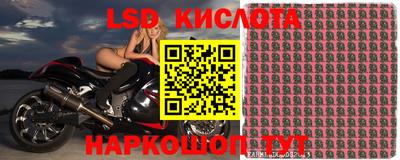 амф Новодвинск
