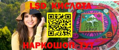 амф Новодвинск