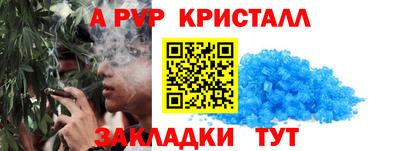 амф Новодвинск