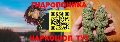винт Новозыбков
