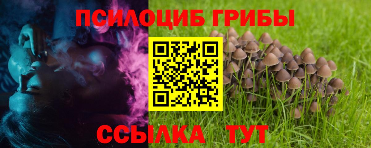 Галлюциногенные грибы Psilocybine cubensis  Вход с VPN  Тайшет  Галлюциногенные грибы Cubensis 