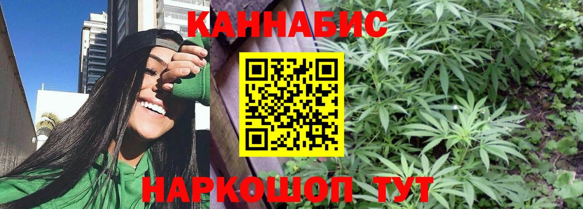 Шишки марихуана план Тайшет